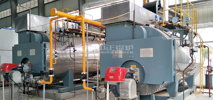 濟(jì)豐包裝紙業(yè)6噸冷凝式燃?xì)庹羝仩t項目