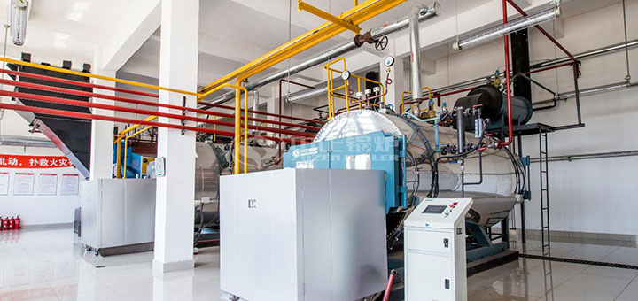 維達(dá)紙業(yè)15噸冷凝式燃?xì)庹羝仩t項目