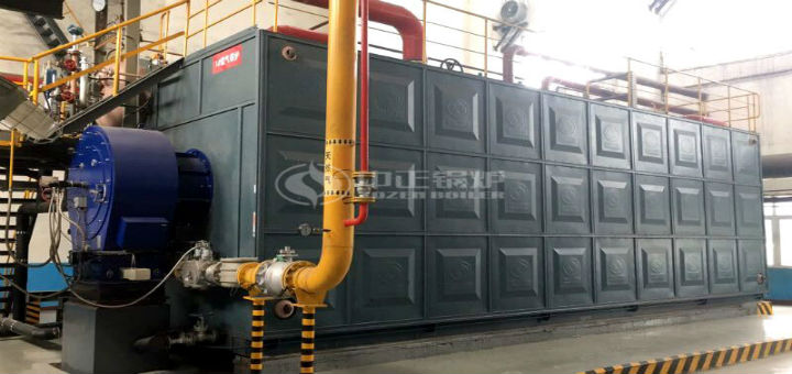 保定華康紙業(yè)20噸冷凝式燃?xì)庹羝仩t項目