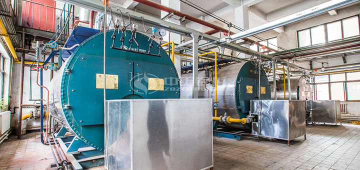 濟(jì)豐包裝紙業(yè)5噸冷凝式燃?xì)庹羝仩t項目